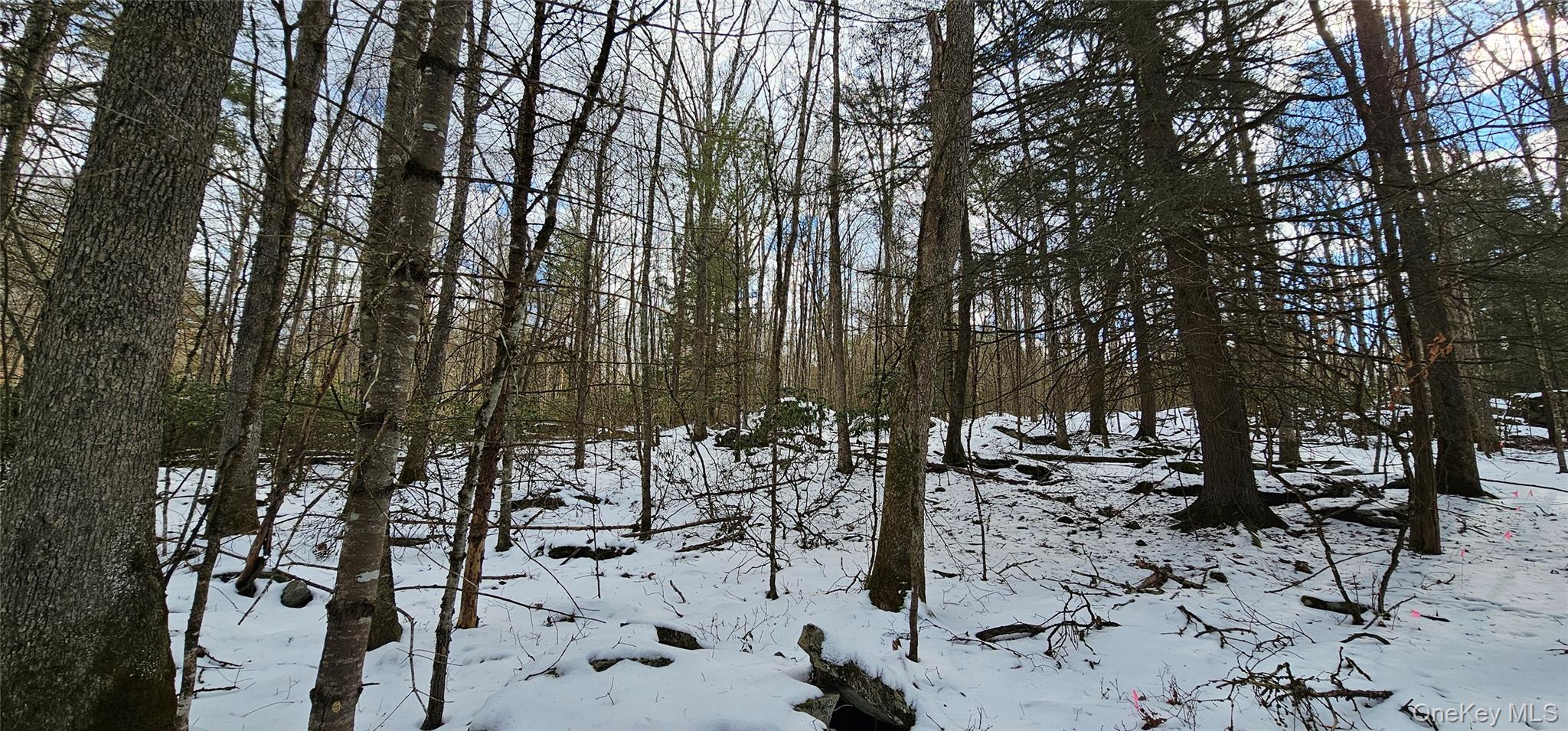 #6 photo, Lot 82 Perry Pond Road, Narrowsburg , NY 12764