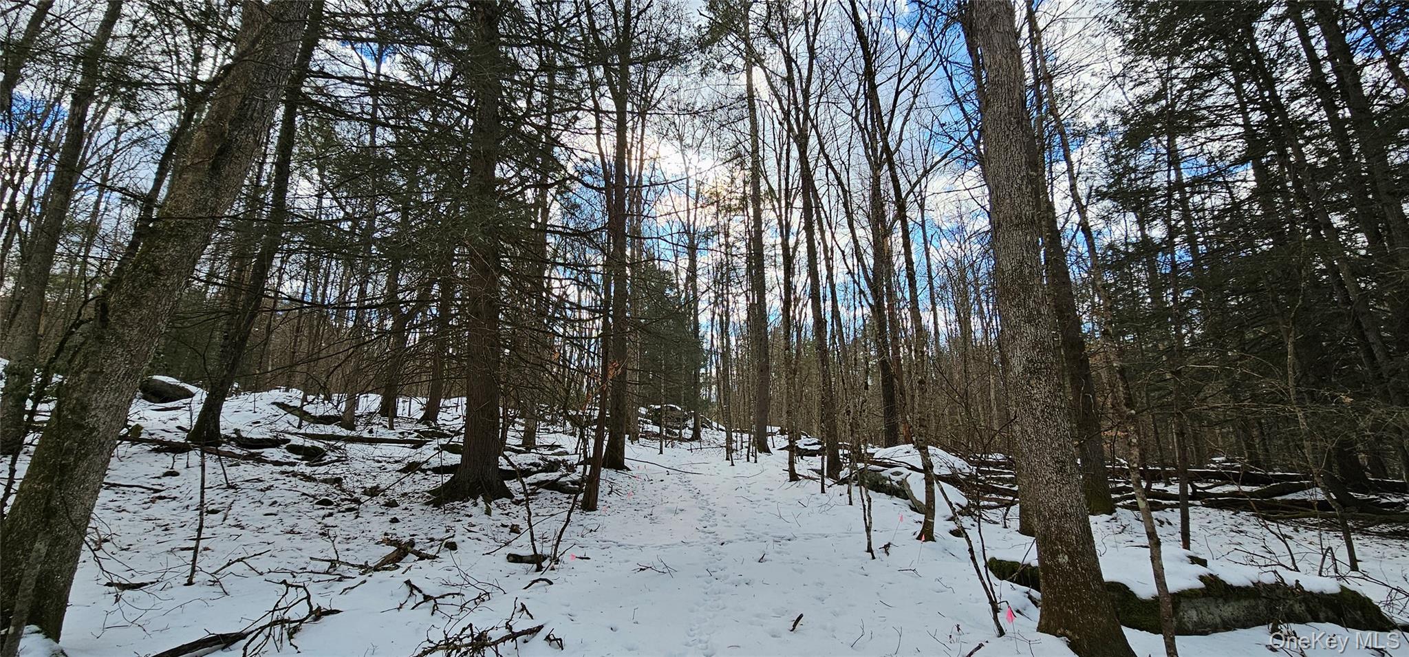 #7 photo, Lot 82 Perry Pond Road, Narrowsburg , NY 12764