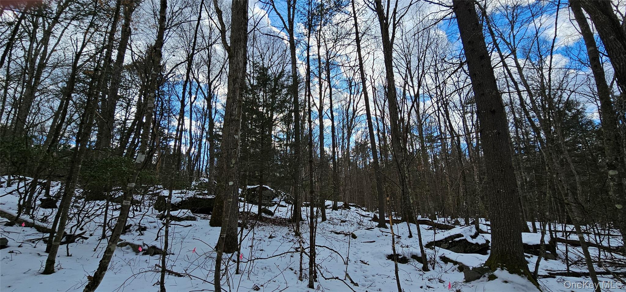 #8 photo, Lot 82 Perry Pond Road, Narrowsburg , NY 12764