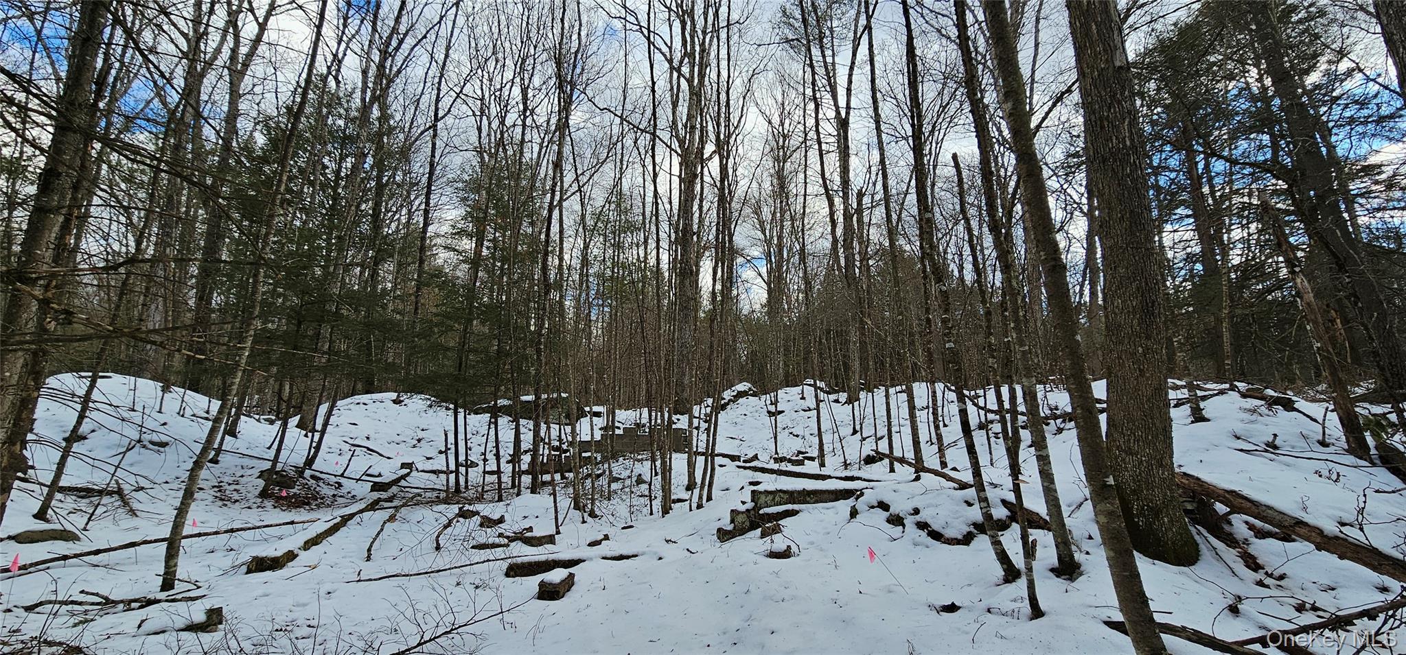 #9 photo, Lot 82 Perry Pond Road, Narrowsburg , NY 12764