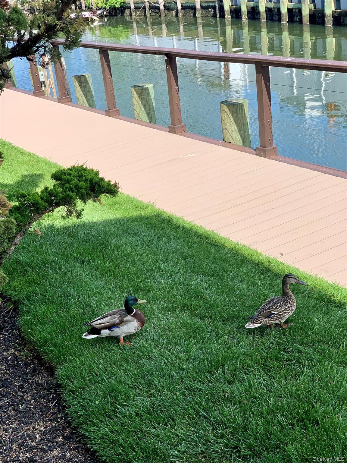 #17 photo, 31 Anchor Street, Freeport , NY 11520