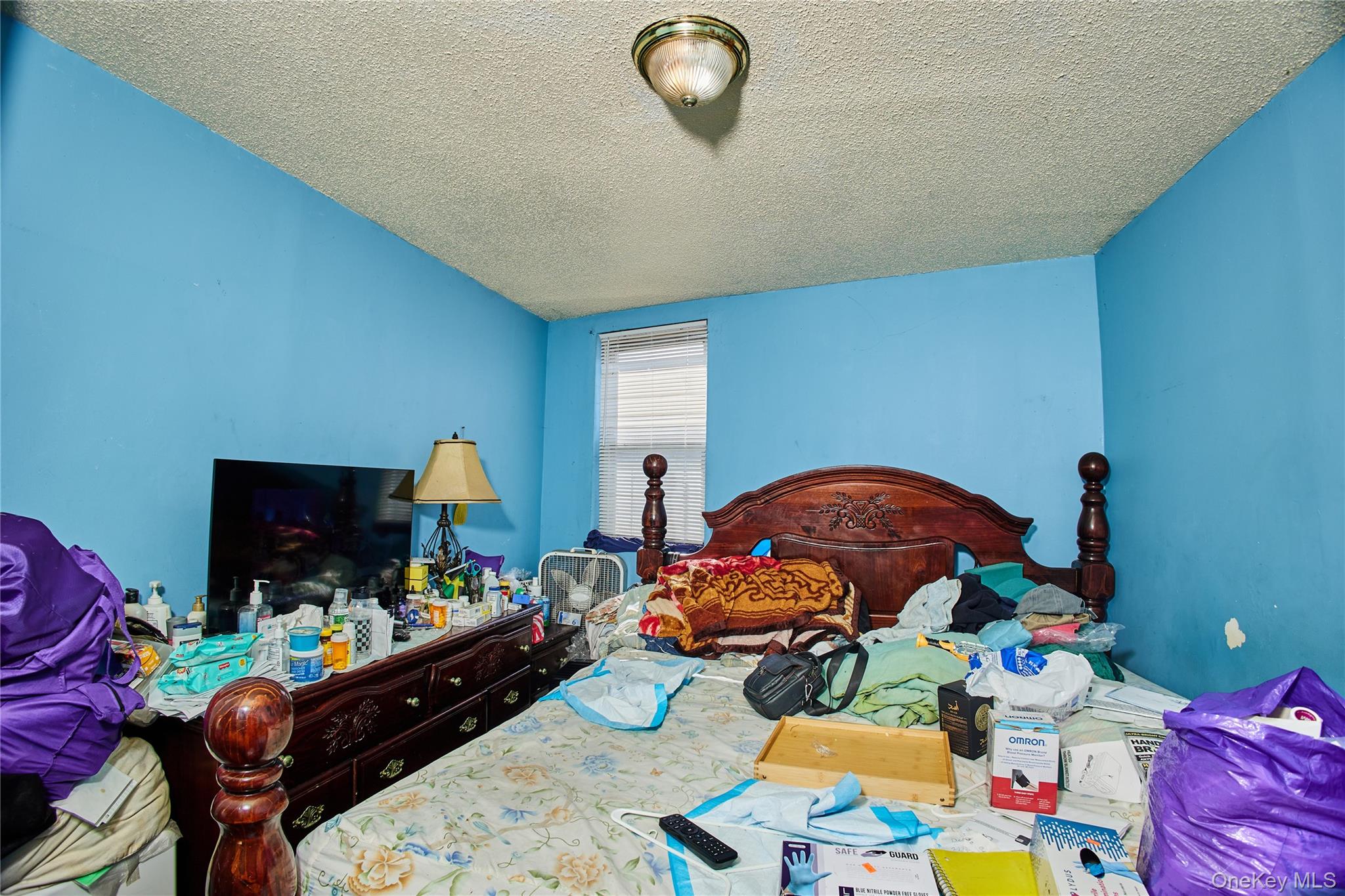 #15 photo, 12222 Nellis Street, クイーンズ区 Springfield Gardens , NY 11413