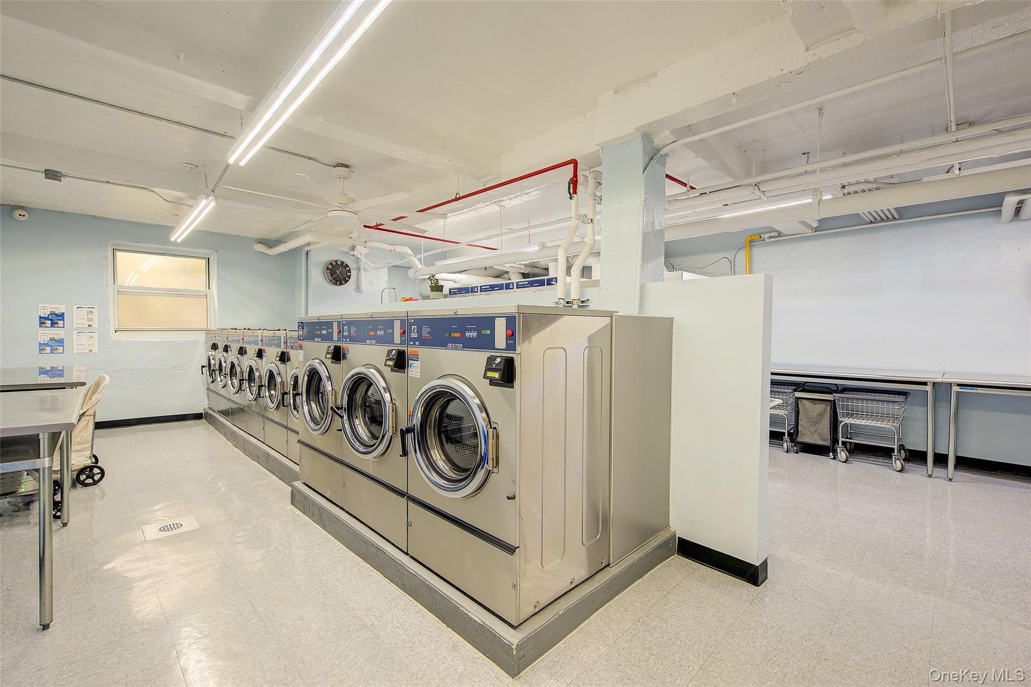 #17 photo, 33-15 81st Street, 皇后區 傑克遜高地 Jackson Heights , NY 11372