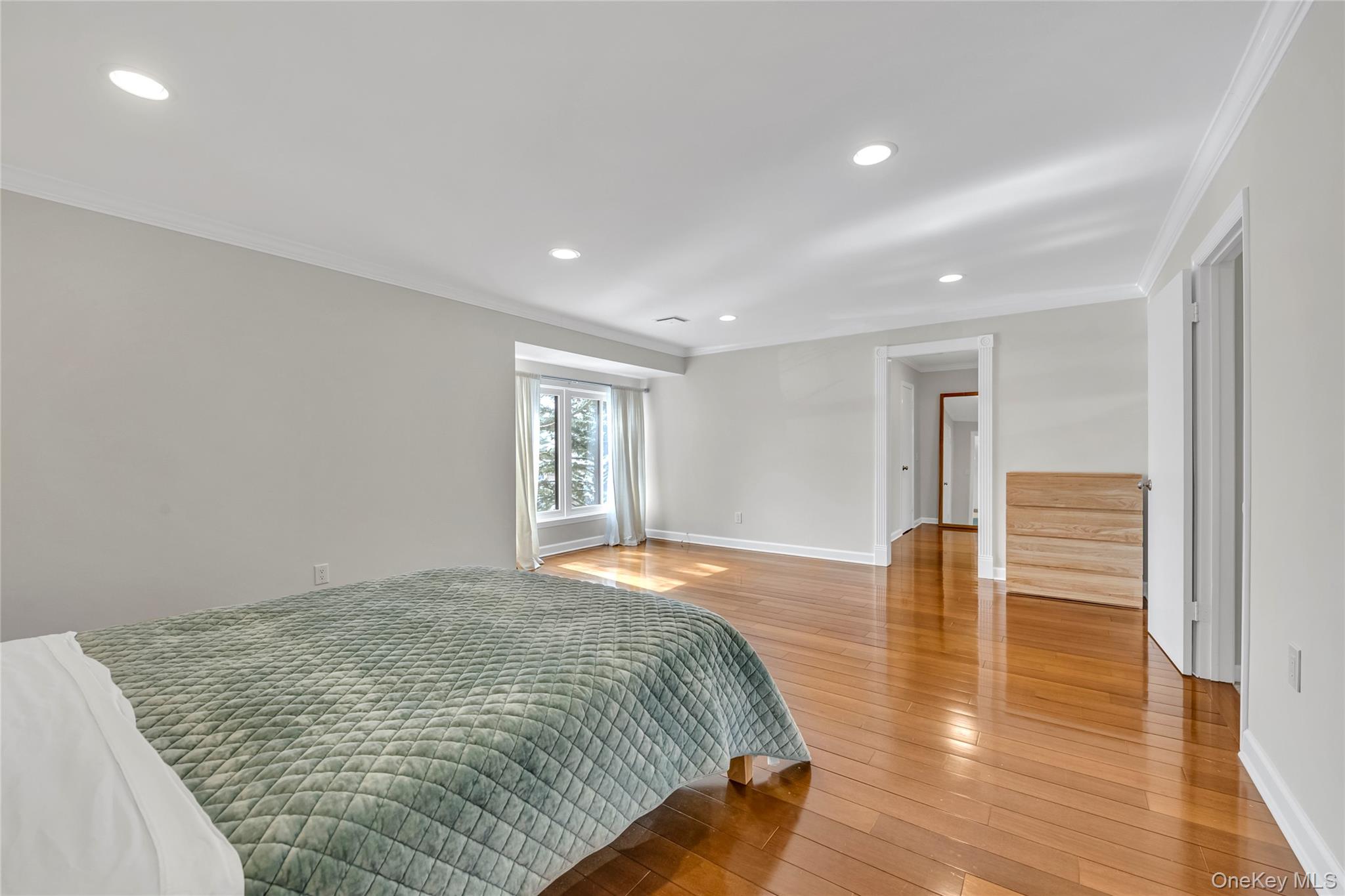 #15 photo, 42 Windsor Gate Drive, New Hyde Park , NY 11040