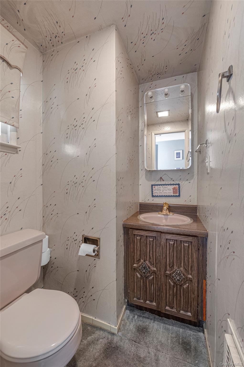 #13 photo, 48 Lawrence Street, New Hyde Park , NY 11040