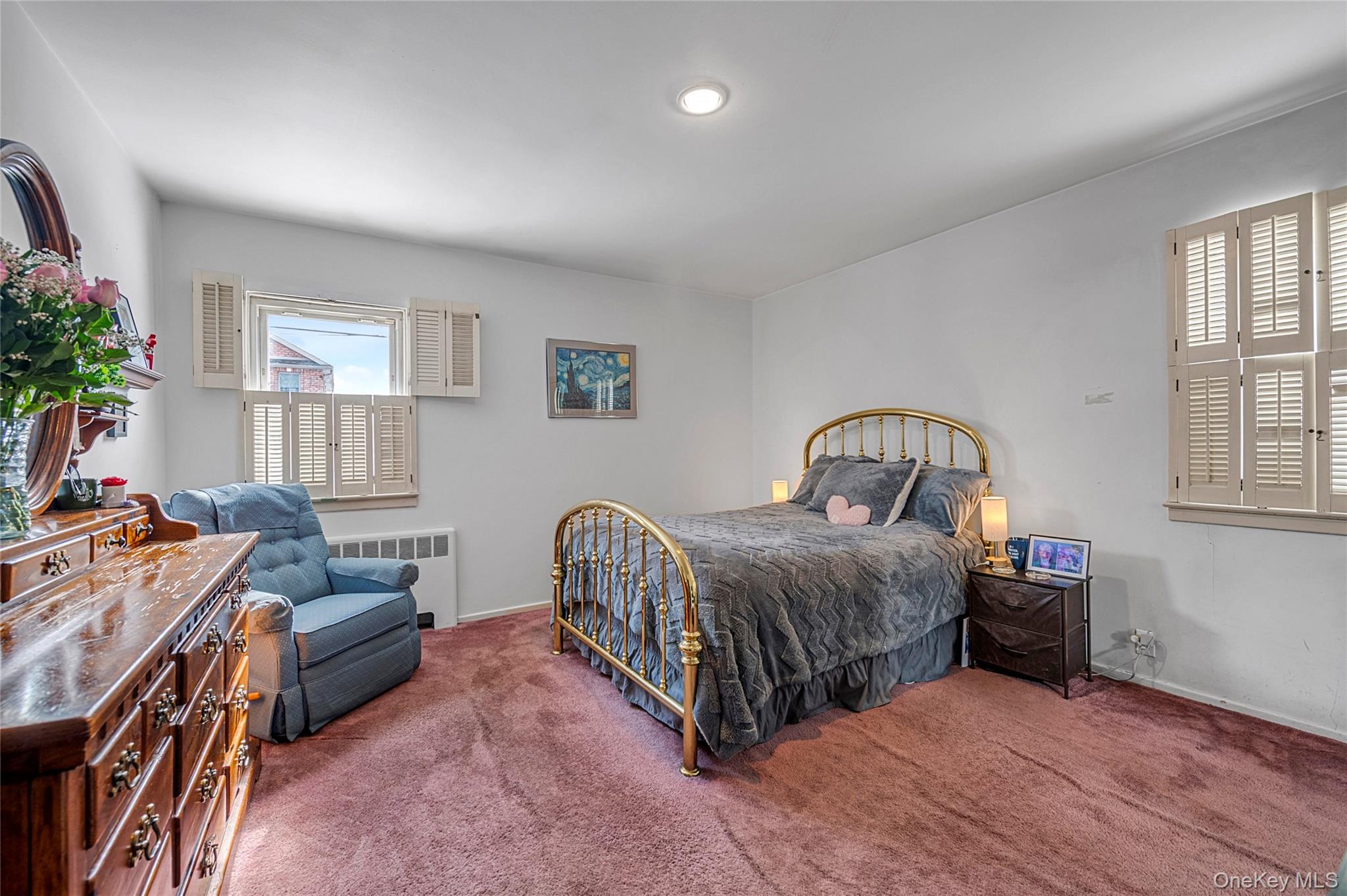 #9 photo, 48 Lawrence Street, New Hyde Park , NY 11040