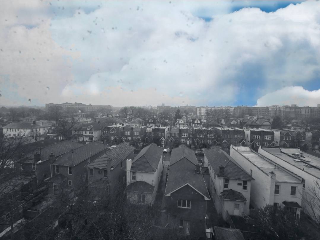 #8 photo, 2922 Nostrand Ave, #6A, 브루클린 Midwood , NY 11229