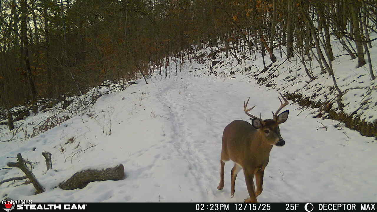 #24 photo, 1740 Huntersland Road, Middleburgh , NY 12122