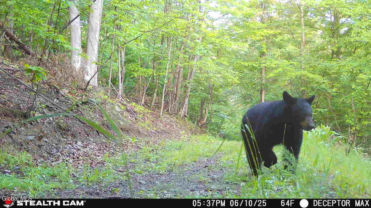 #27 photo, 1740 Huntersland Road, Middleburgh , NY 12122