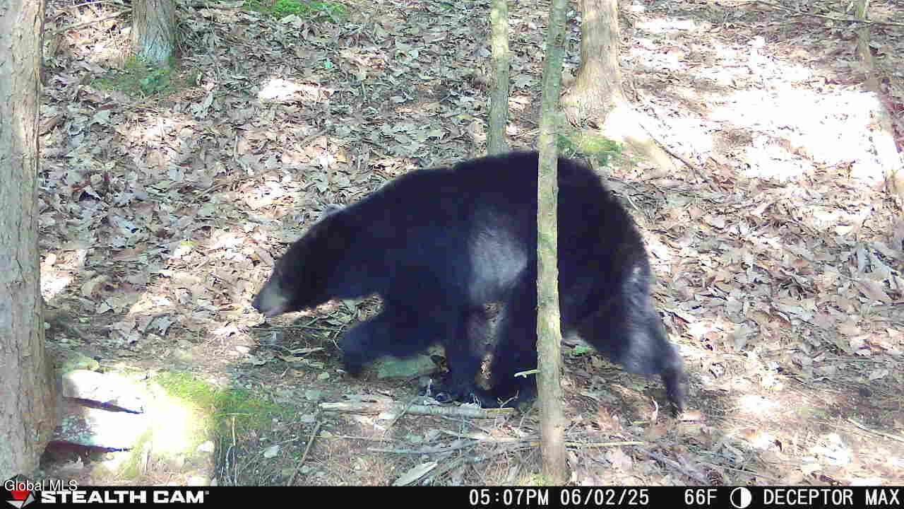 #28 photo, 1740 Huntersland Road, Middleburgh , NY 12122