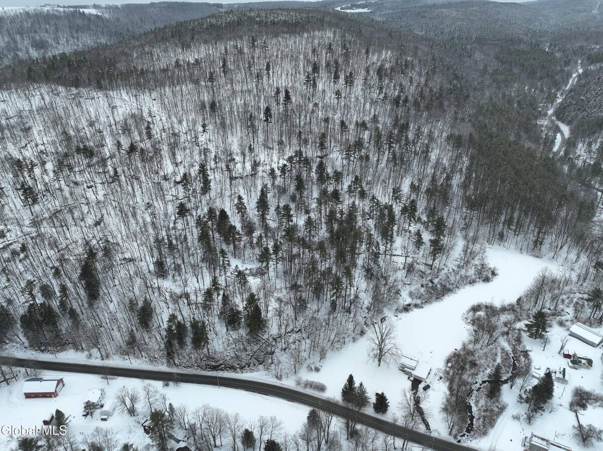 #31 photo, 1740 Huntersland Road, Middleburgh , NY 12122