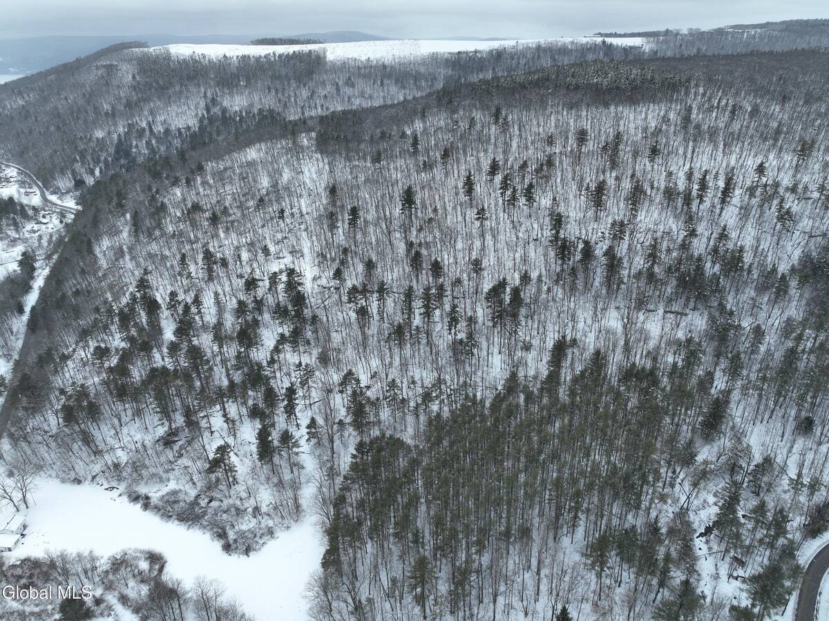 #32 photo, 1740 Huntersland Road, Middleburgh , NY 12122