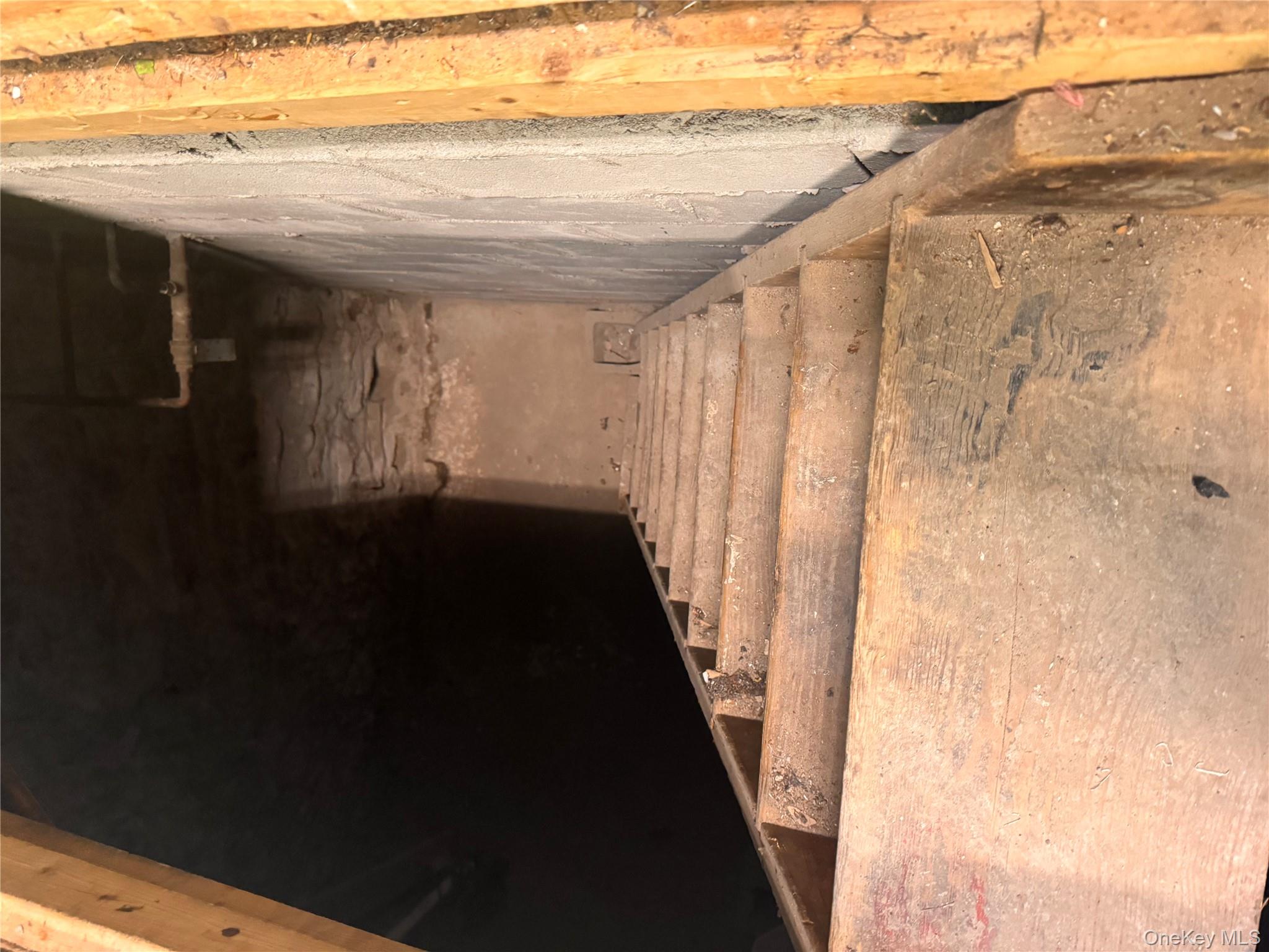 #14 photo, 108 Saratoga Avenue, Brooklyn , NY 11233