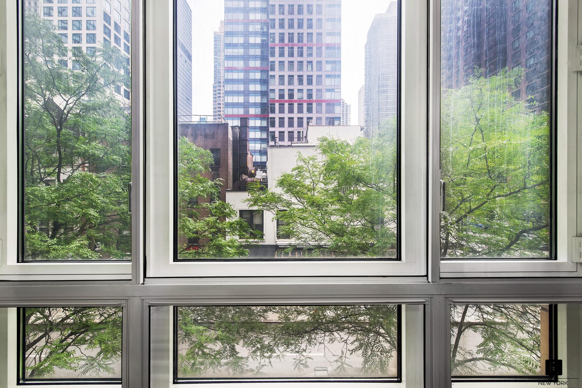 #8 photo, 250 E 53rd Street, Turtle Bay , NY 10022