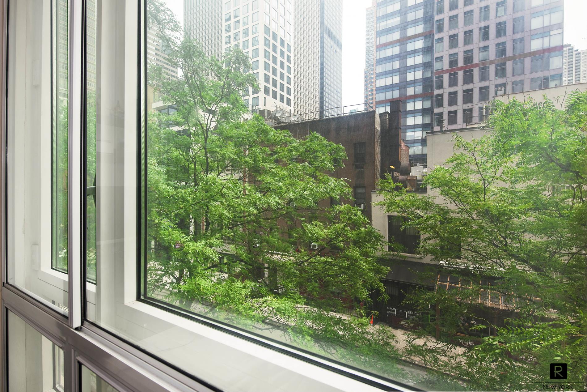 #9 photo, 250 E 53rd Street, Turtle Bay , NY 10022