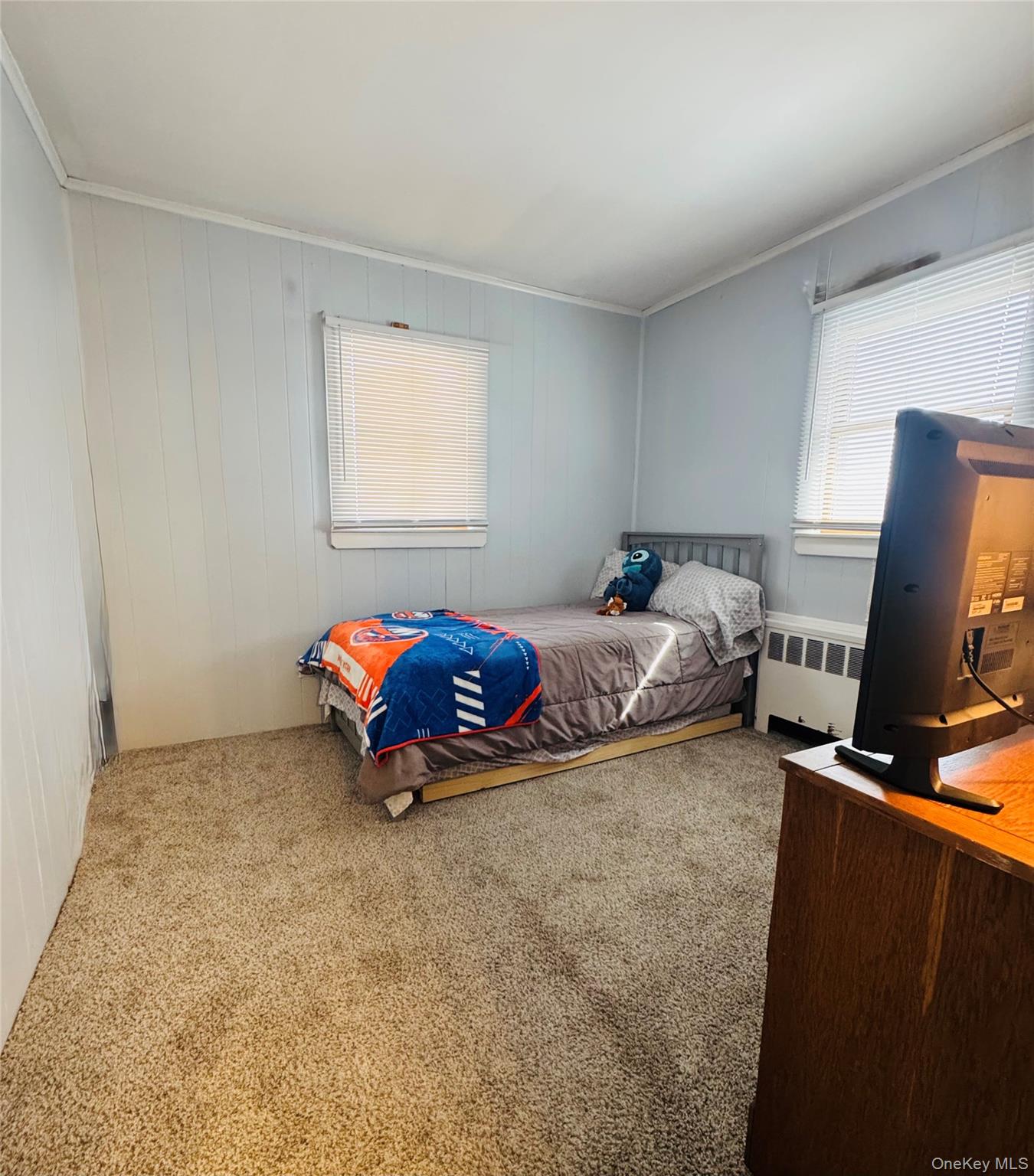 #8 photo, 164 N Pine Street, 长岛 Massapequa , NY 11758