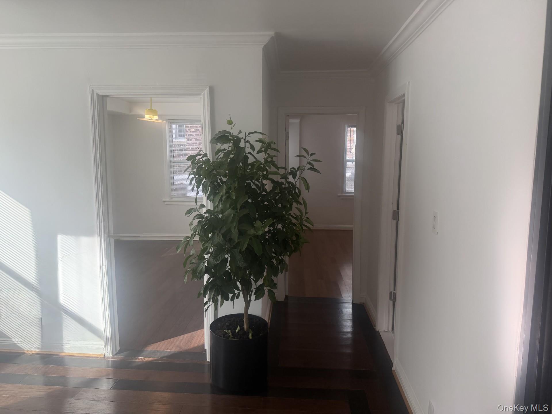 #8 photo, 1145 Astor Avenue, Bronx , NY 10469