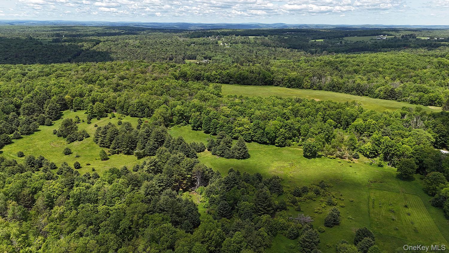 #5 photo, 342 Bernas Road, Cochecton , NY 12726