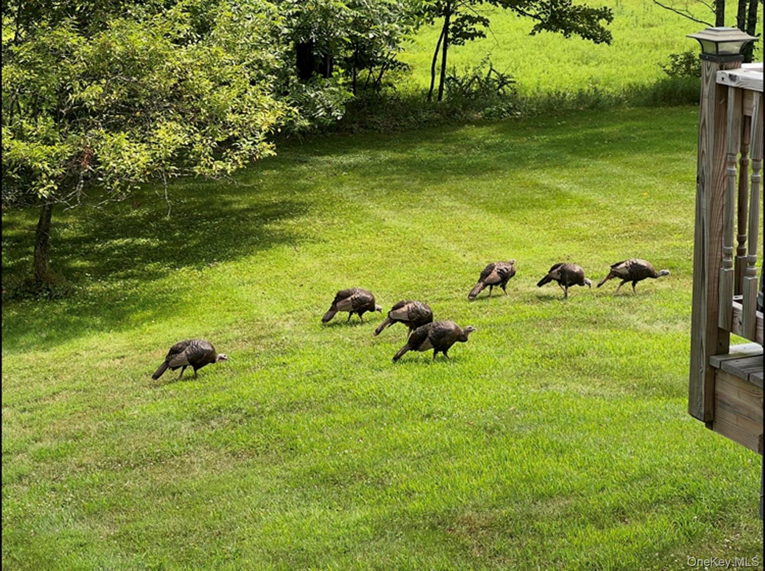 #6 photo, 342 Bernas Road, Cochecton , NY 12726