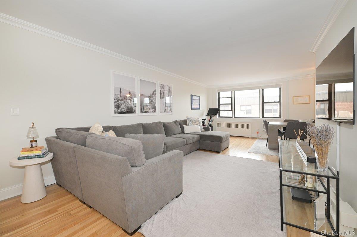 #1 photo, 5 Birchwood Court, Mineola , NY 11501