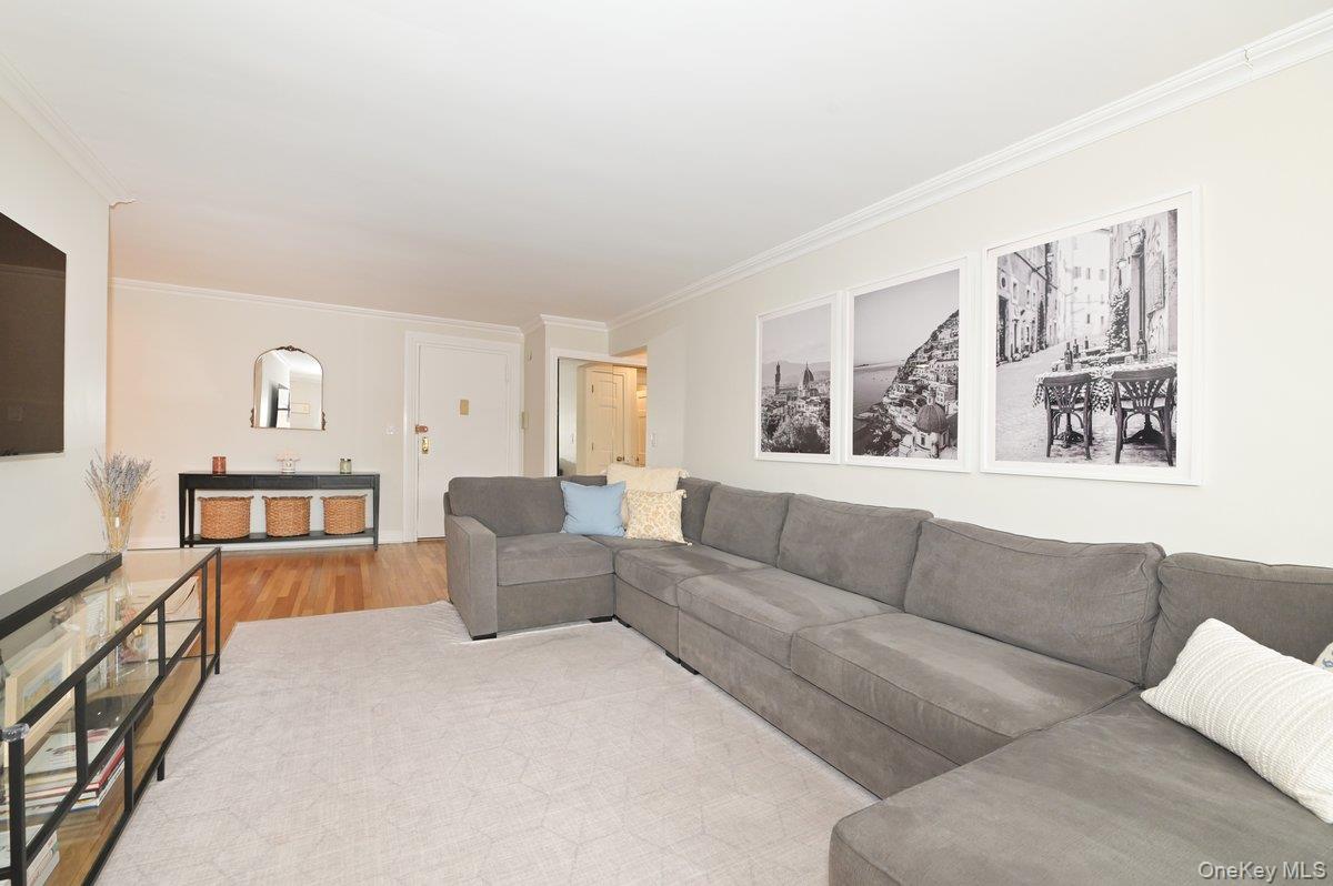 #5 photo, 5 Birchwood Court, Mineola , NY 11501