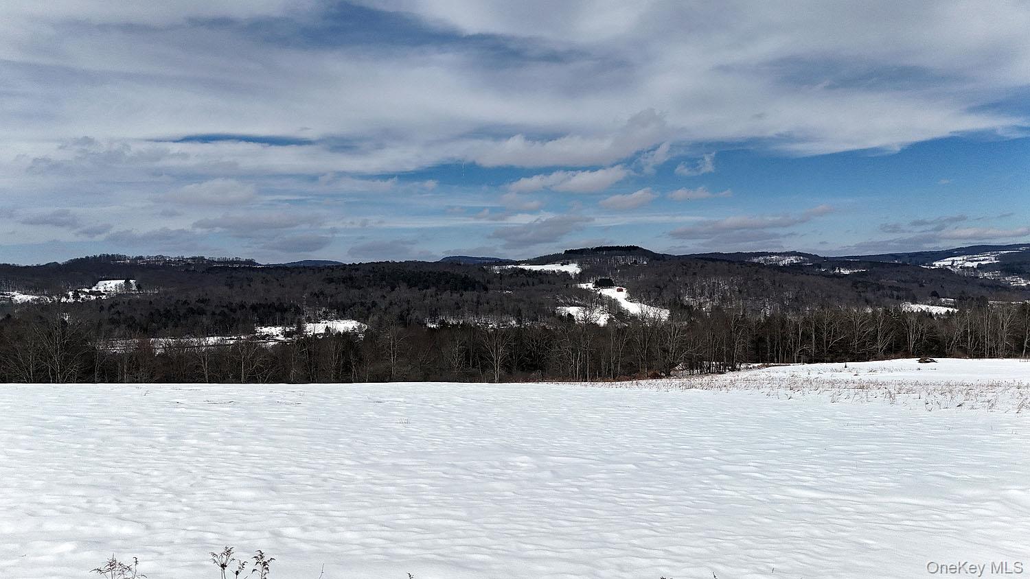 #1 photo, Hubert Road, Jeffersonville , NY 12748