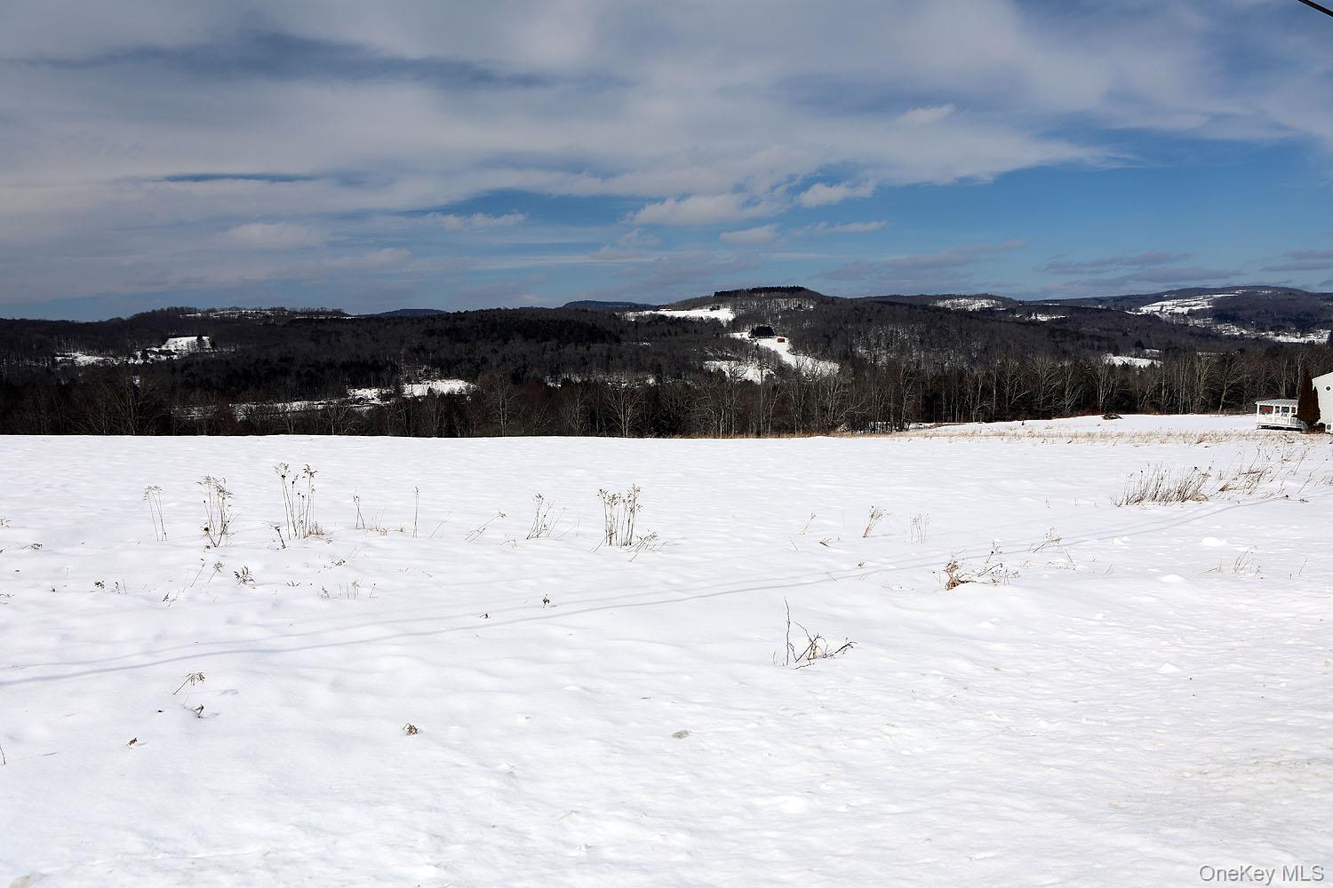 #10 photo, Hubert Road, Jeffersonville , NY 12748