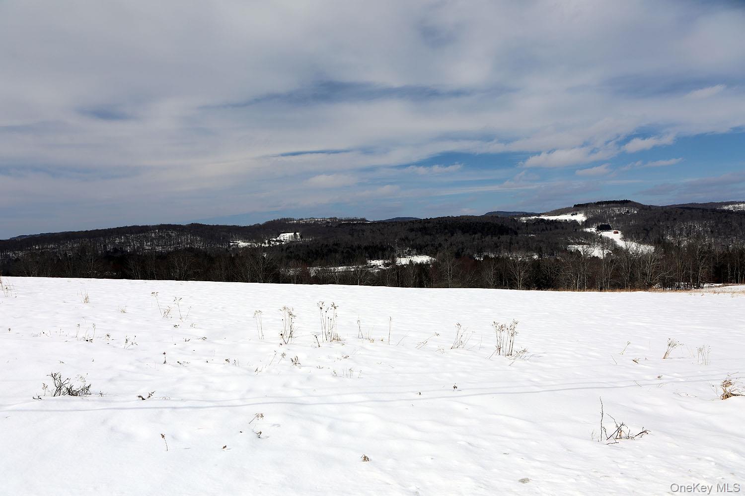 #8 photo, Hubert Road, Jeffersonville , NY 12748