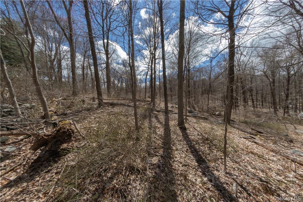 #1 photo, 91 Sherwood Hill Road, Brewster , NY 10509