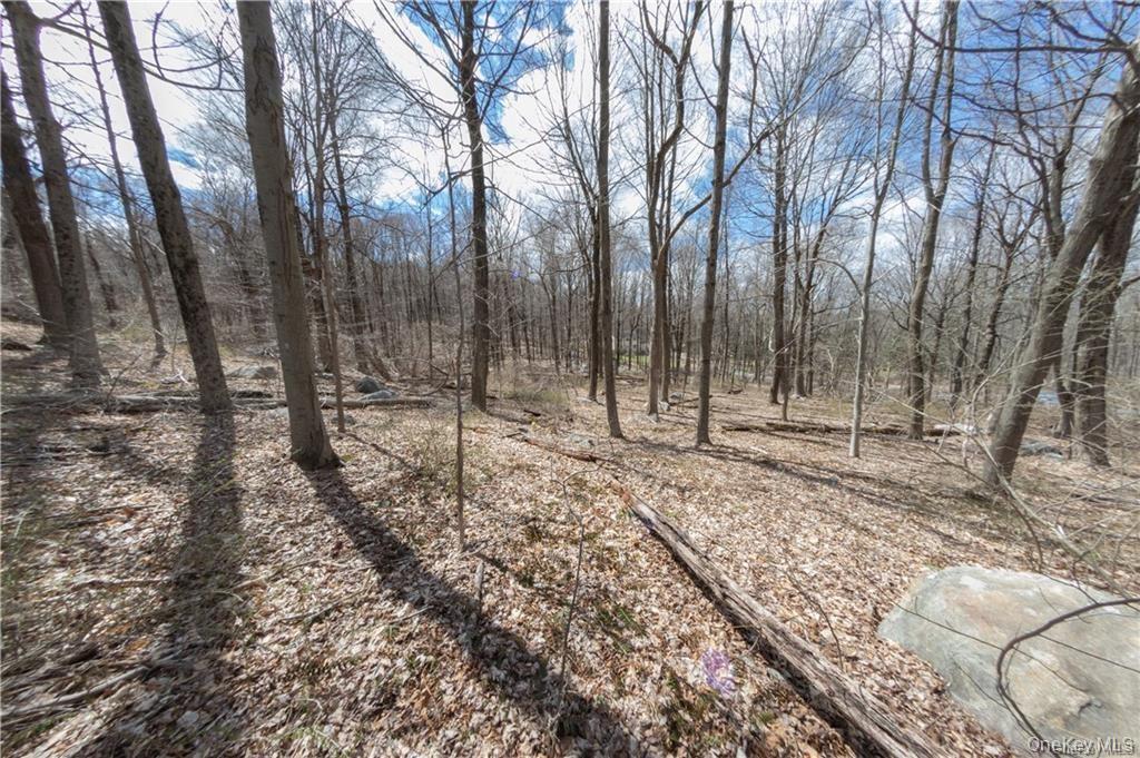 #2 photo, 91 Sherwood Hill Road, Brewster , NY 10509