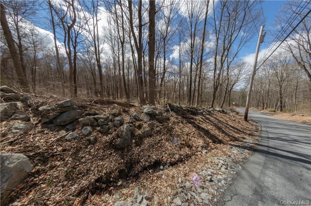 #3 photo, 91 Sherwood Hill Road, Brewster , NY 10509