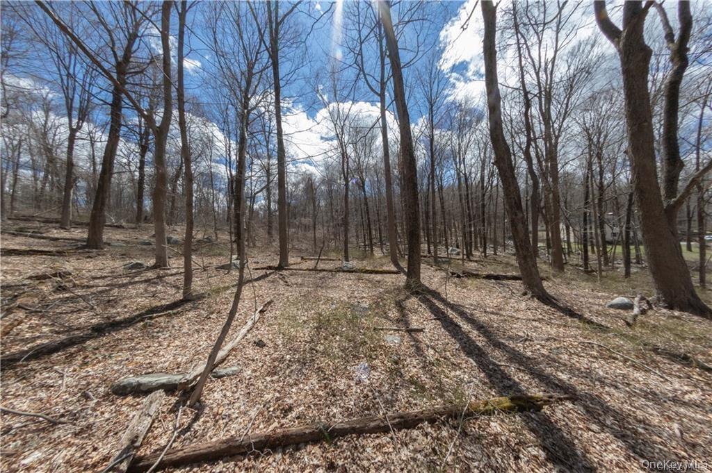 #4 photo, 91 Sherwood Hill Road, Brewster , NY 10509