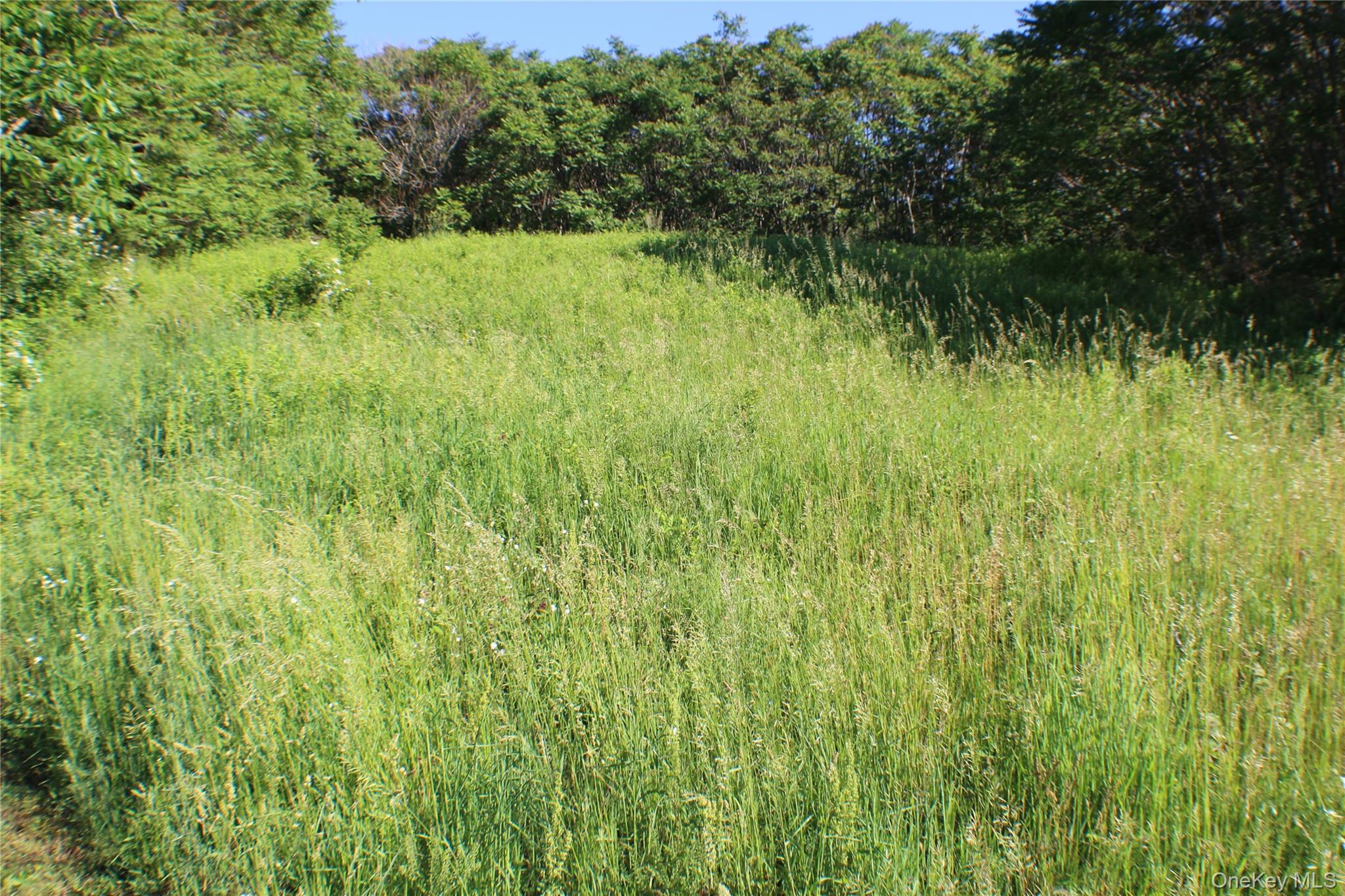 #4 photo, Lot 2 South Centerville Road, Middletown , NY 10940