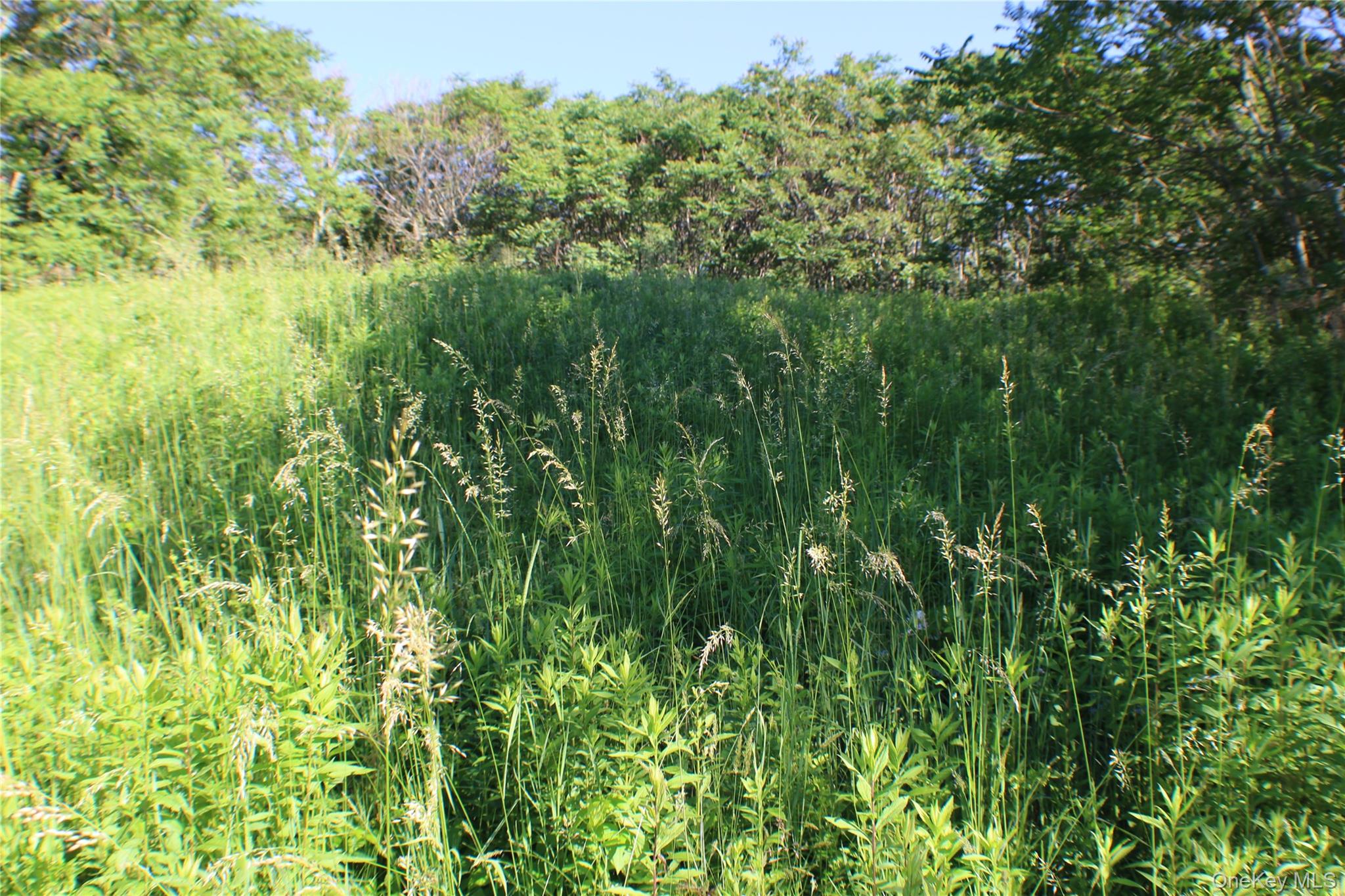 #5 photo, Lot 2 South Centerville Road, Middletown , NY 10940