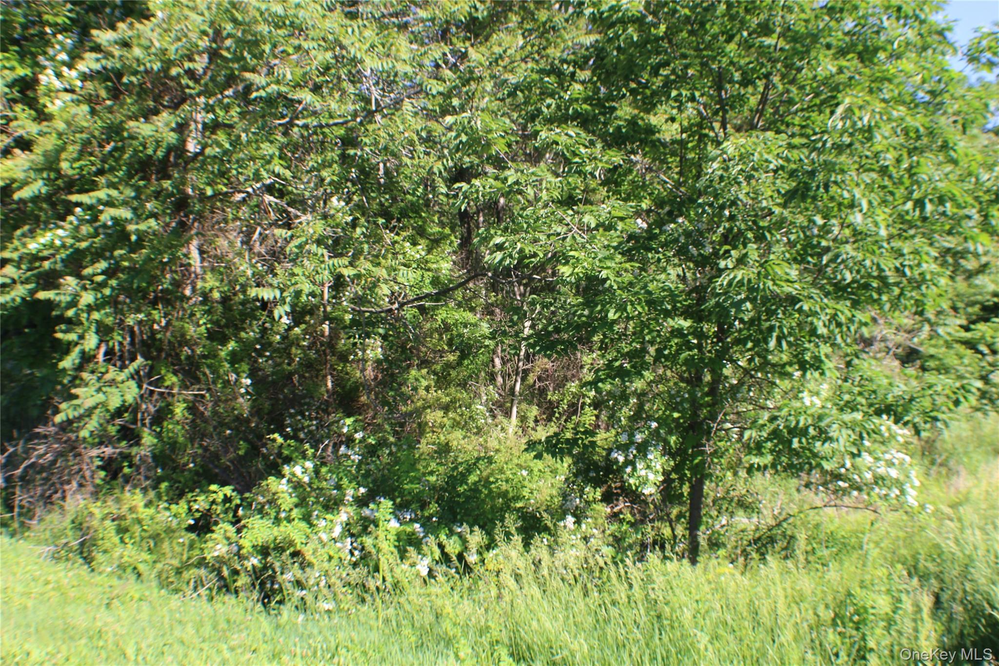 #7 photo, Lot 2 South Centerville Road, Middletown , NY 10940