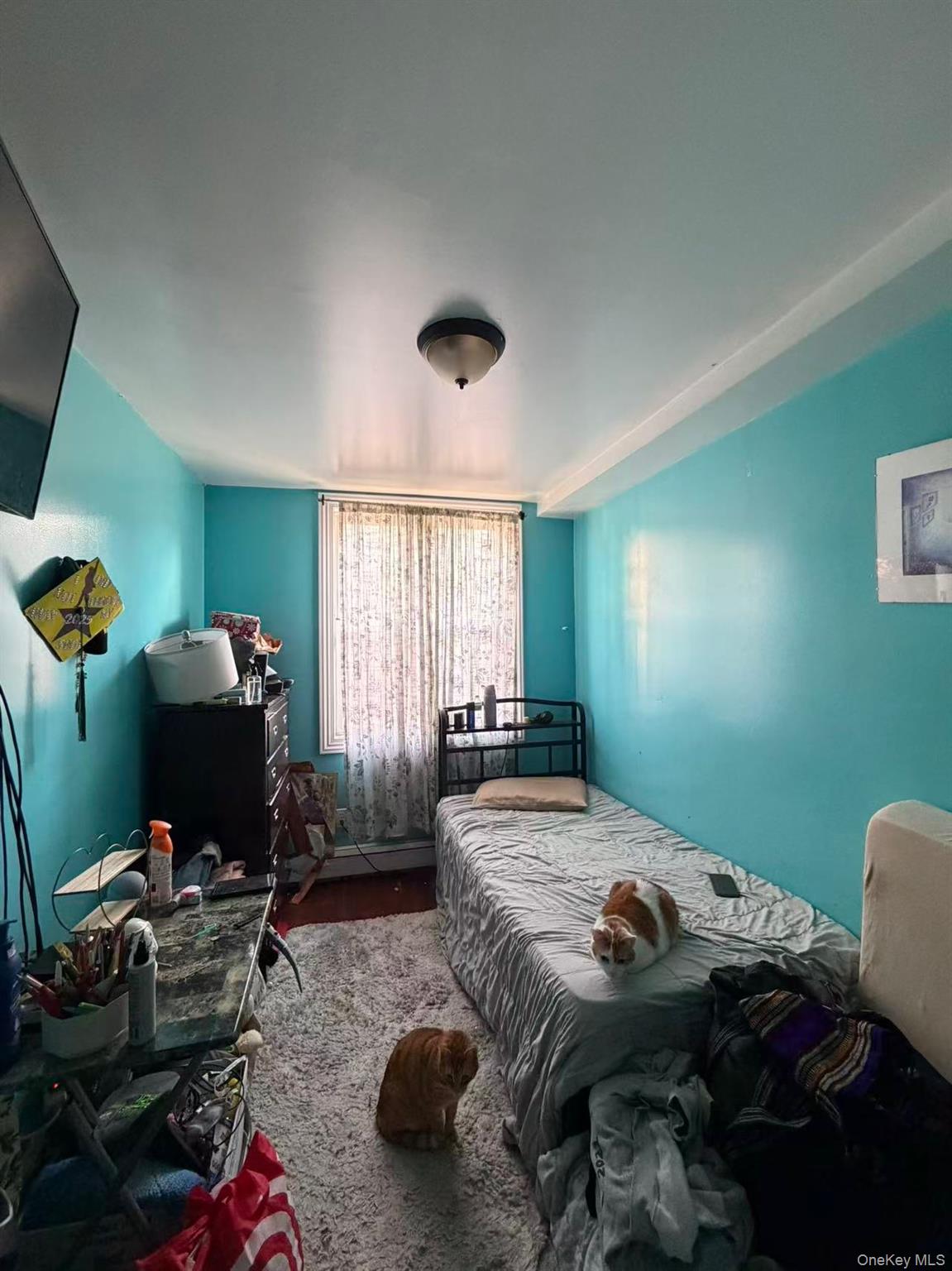 #9 photo, 101-18 39th Avenue, 뉴욕퀸즈 Corona , NY 11368