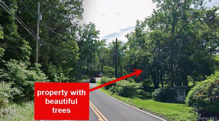 #3 photo, 00 Primrose Hill Road, 뉴욕주 Rhinebeck , NY 12572