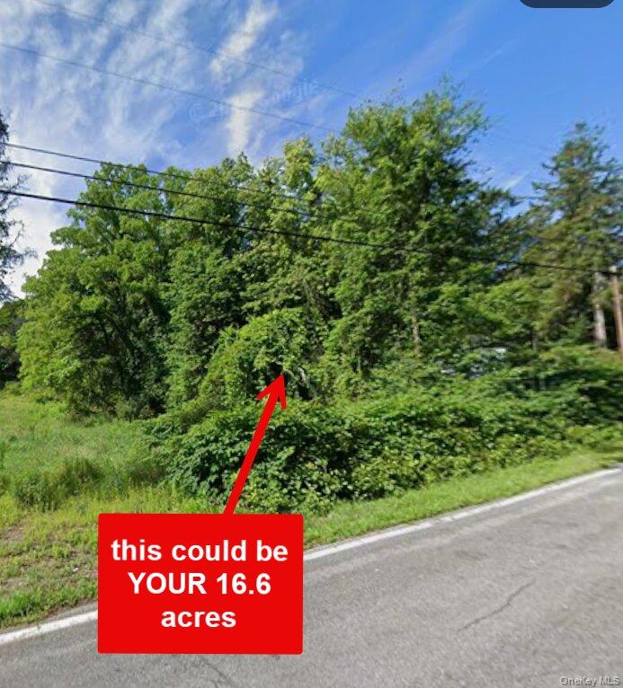 #4 photo, 00 Primrose Hill Road, 뉴욕주 Rhinebeck , NY 12572