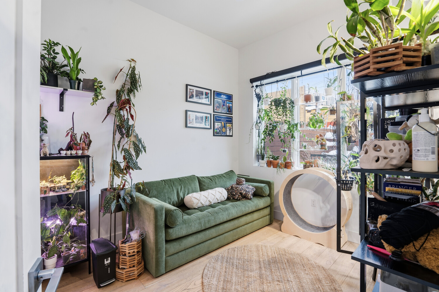 #12 photo, 11 CONSELYEA Street, ब्रुकलीन Williamsburg , NY 11211