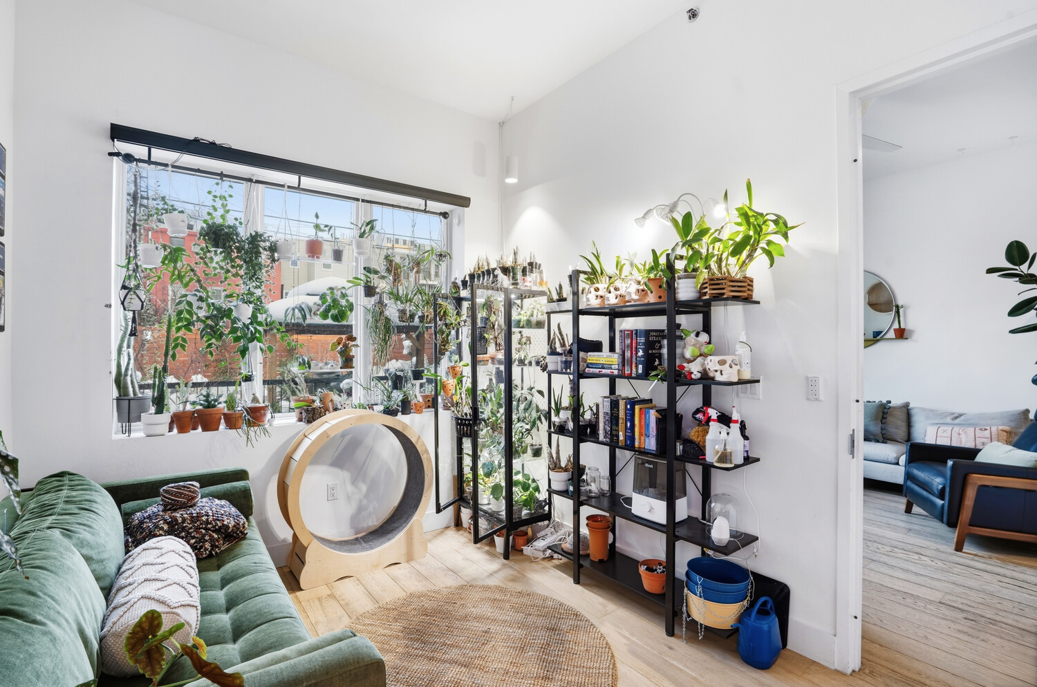 #13 photo, 11 CONSELYEA Street, ब्रुकलीन Williamsburg , NY 11211