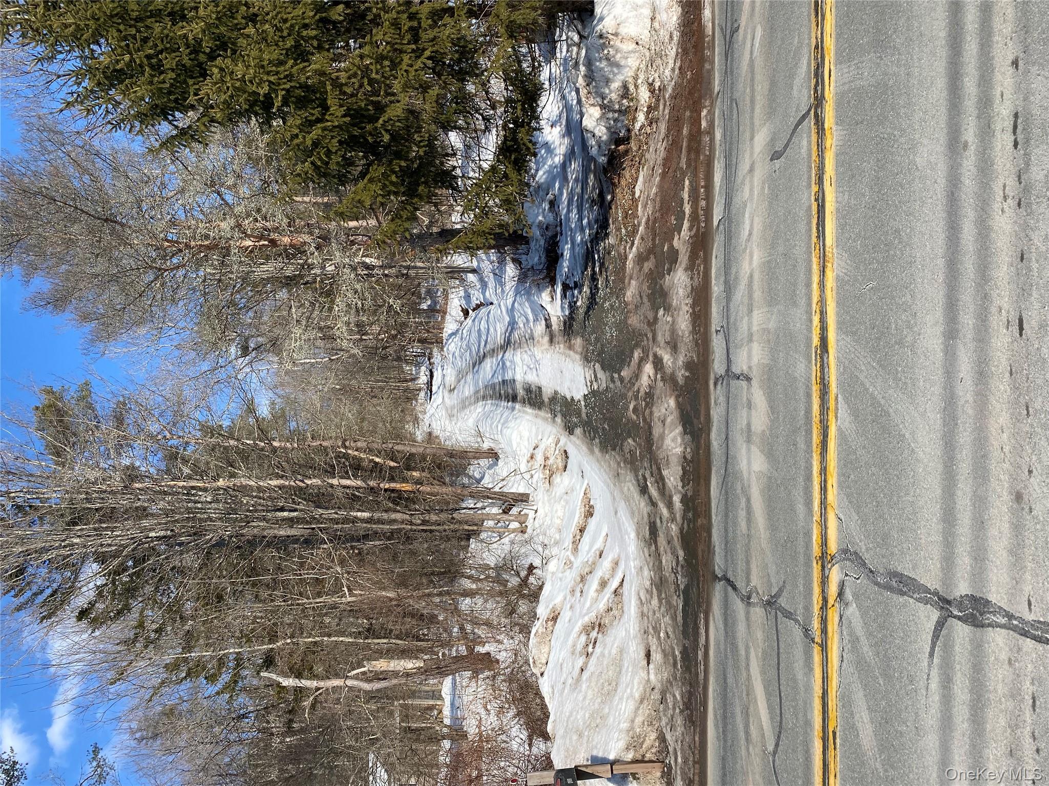 #1 photo, 1423 Old Route 17, Roscoe , NY 12776