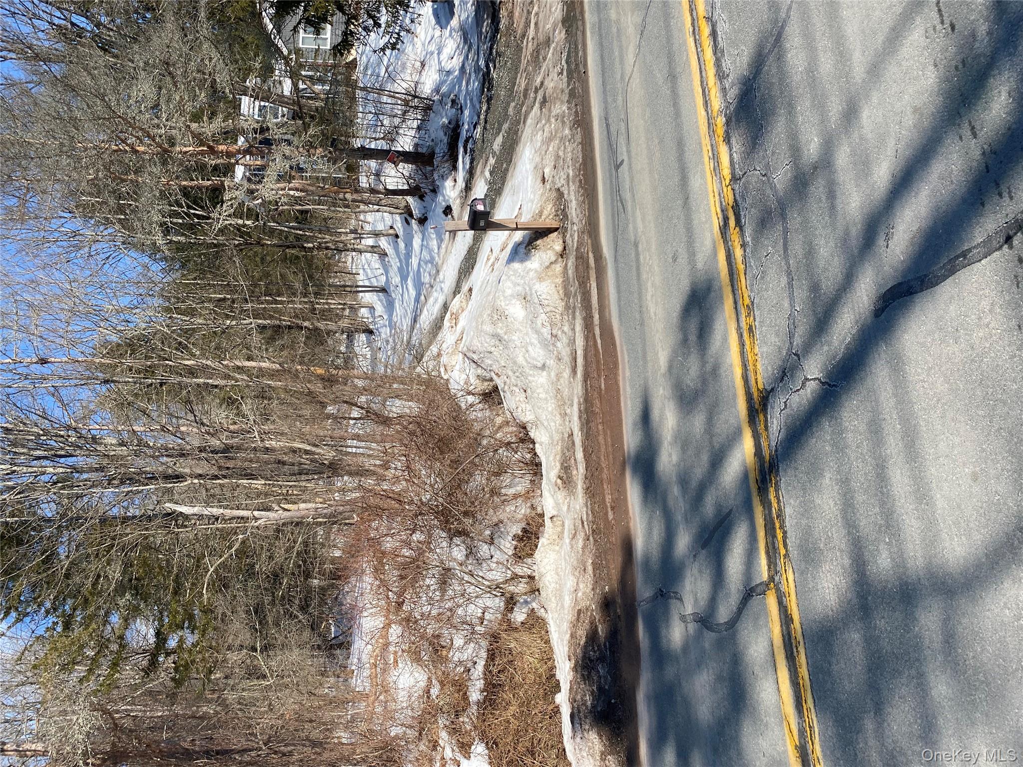 #2 photo, 1423 Old Route 17, Roscoe , NY 12776