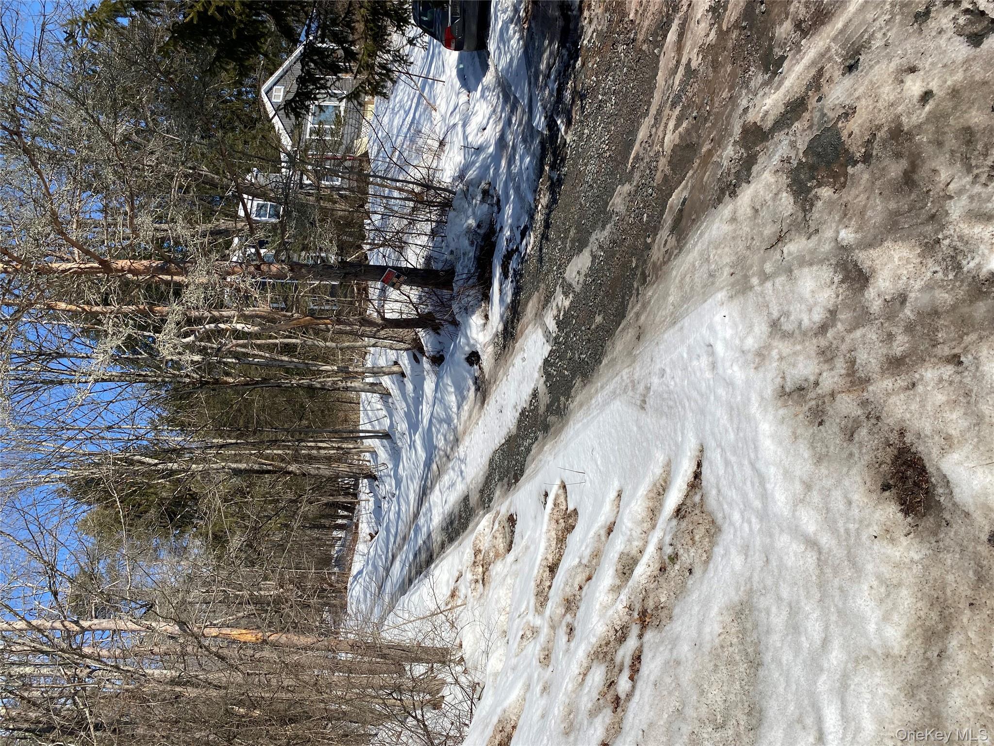 #3 photo, 1423 Old Route 17, Roscoe , NY 12776