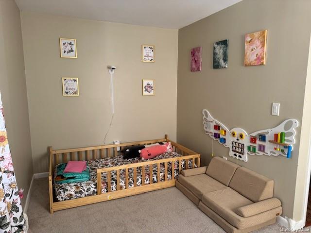 #20 photo, 57 Boorman Road, Middletown , NY 10940