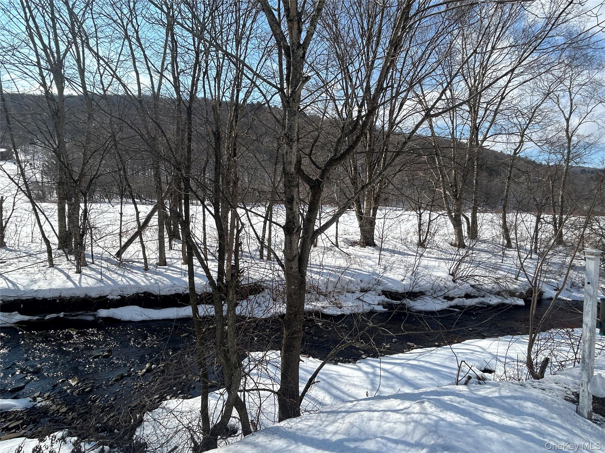 #5 photo, 290 Gulf Road, Roscoe , NY 12776