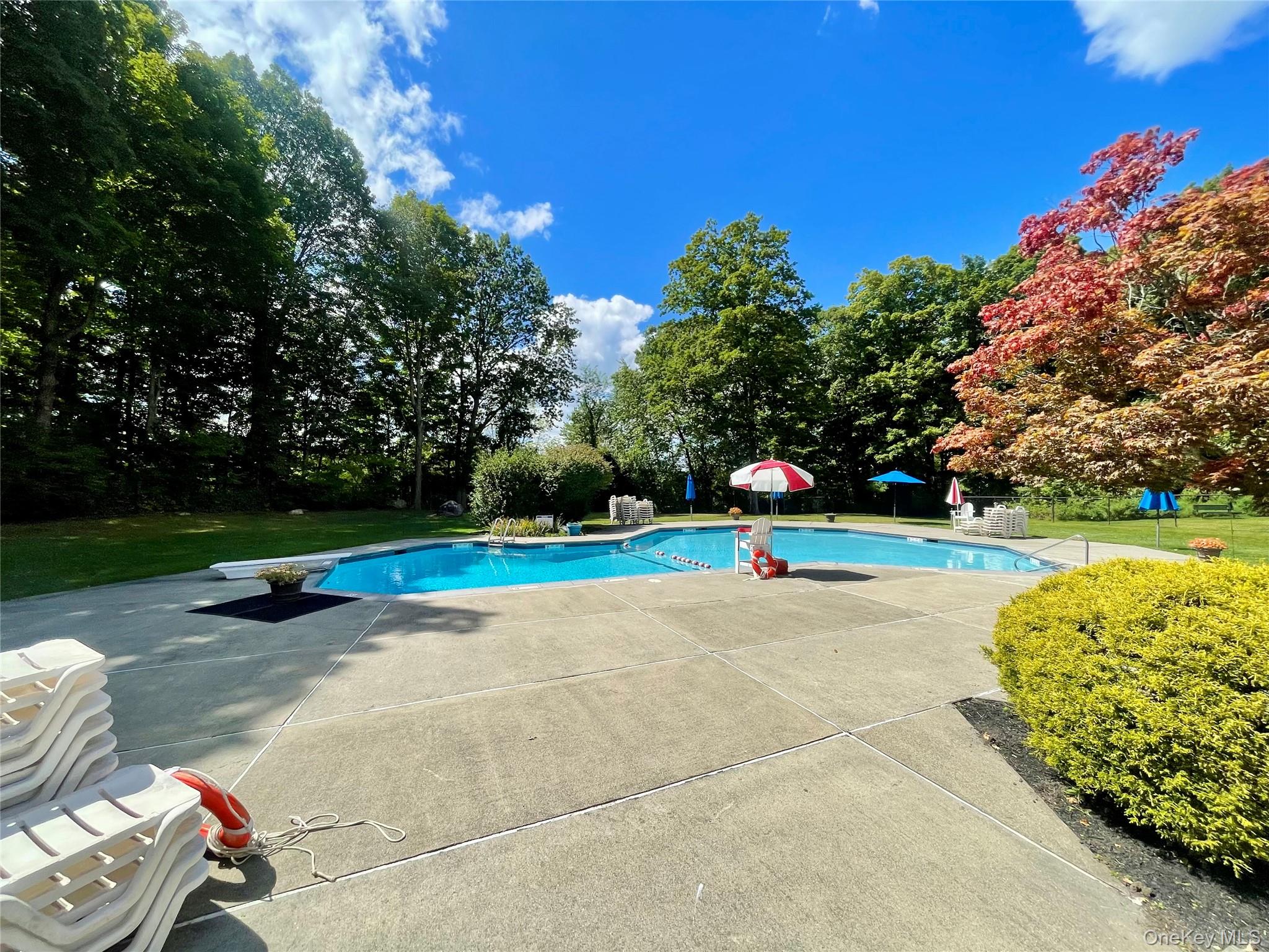 #20 photo, 1203 Village Drive, Brewster , NY 10509