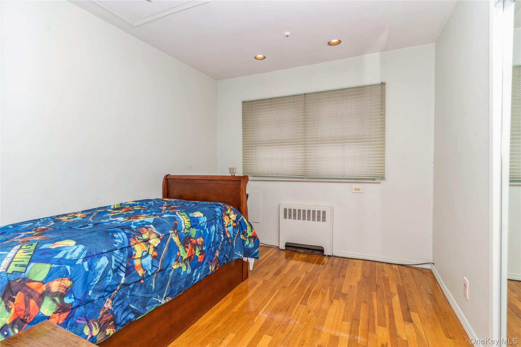 #13 photo, 253 E Meadow Avenue, Нассау ‖ East Meadow , NY 11554