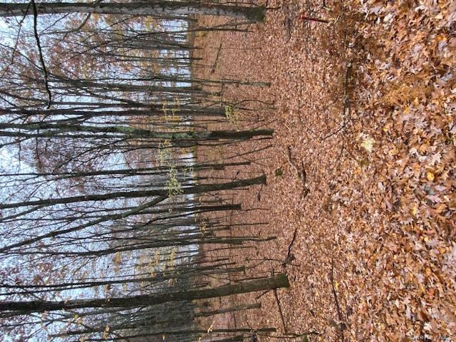 #3 photo, Lot 6 Briarwood Trail, Call Listing Agent , PA 18405