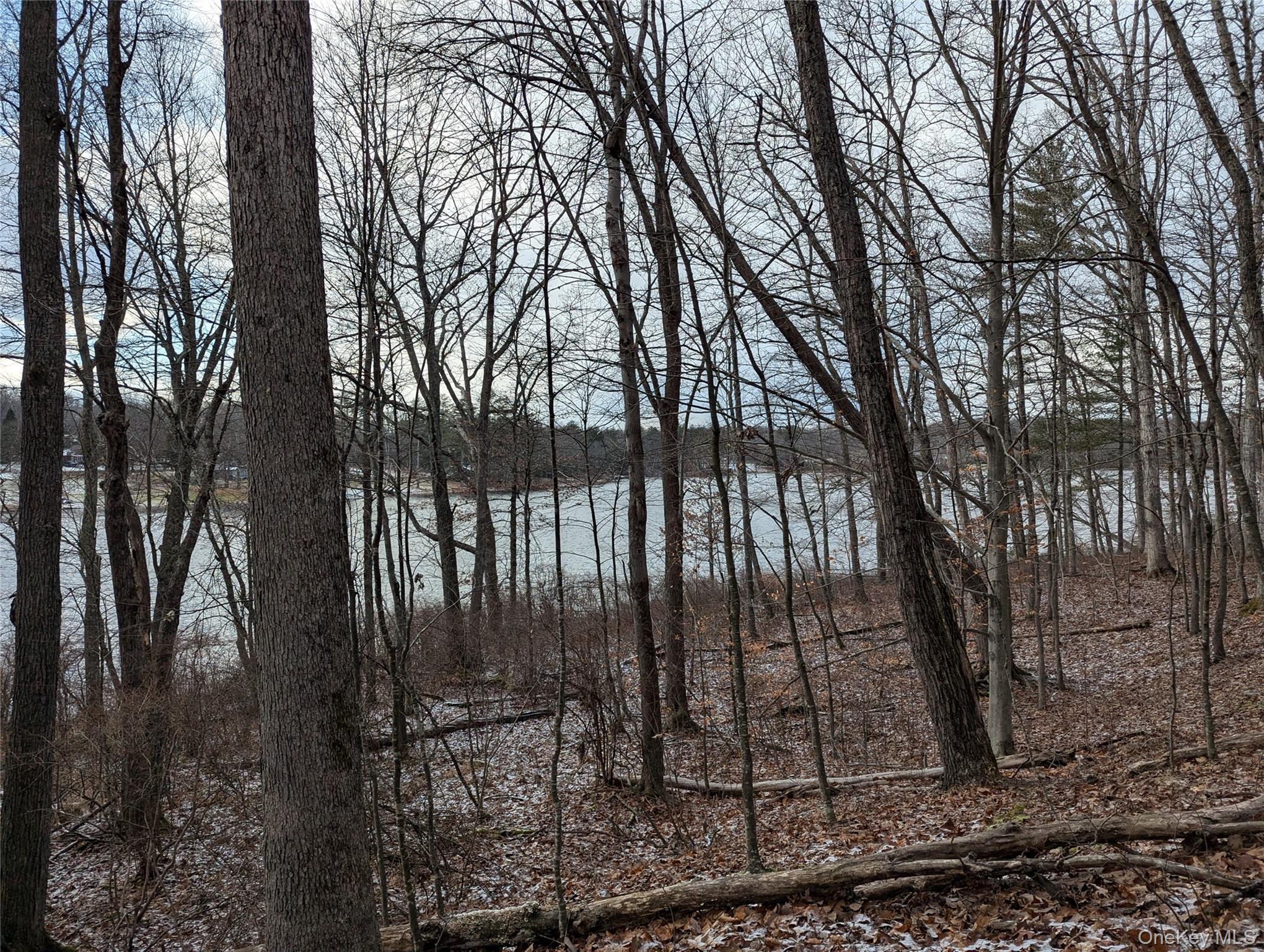 #5 photo, Lot 6 Briarwood Trail, Call Listing Agent , PA 18405