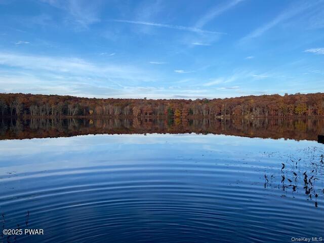 #9 photo, Lot 6 Briarwood Trail, Call Listing Agent , PA 18405